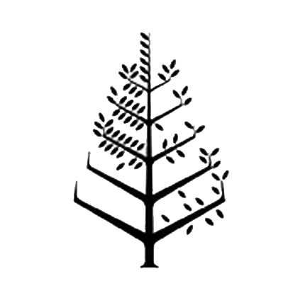 巴庫四季酒店 Logo